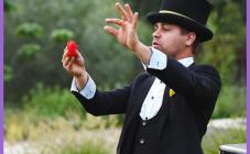 Party Panda - фото (8847-52912)