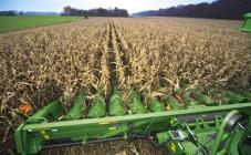 БАС-Сервис - фото (3132-39812)