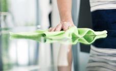 Енот  - фото (8100-51183)