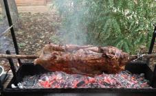 Fire Bull - фото (4548-47929)