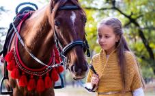 Конный клуб «Мустанг» - фото (9141-53399)