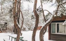 База  отдыха  Почтовик и ОбуховSKY - фото (9757-54377)