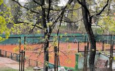 Tennis Club - фото (9309-53727)