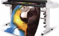 Aladdin Print - фото (8458-52180)