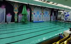 Локомотив  - фото (9116-53339)