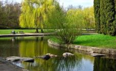 Парк Победы - фото (9591-54074)