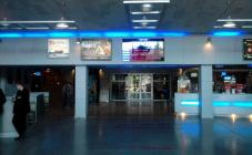 Золотой Дюк - фото (546-1837)