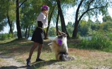 Кинологический центр Лармон - фото (809-3472)