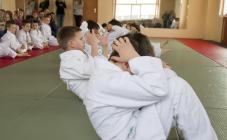 Детский клуб айкидо Хикари - фото (7452-43173)