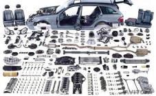 Форвард - фото (2761-40080)