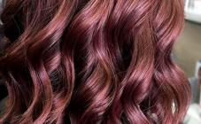 Абрикос - фото (8095-51158)