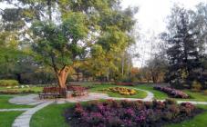 Ботанический сад  - фото (9603-54086)