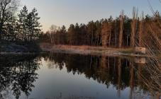 Турбаза Березка - фото (9751-54363)