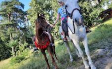 Конный клуб «Мустанг» - фото (9141-53401)