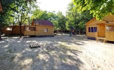 База отдыха "Дельфин" - фото (9787-54428)