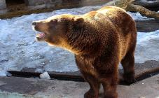 Харківський зоопарк - фото (938-4312)