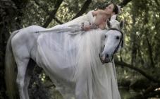 Конный клуб «Мустанг» - фото (9141-53400)