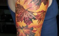 Free Art Tattoo  - фото (7972-50782)