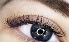 Lash Brow - фото (8028-50969)