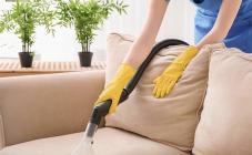 Енот  - фото (8100-51182)