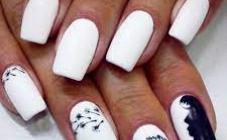 ALAE - фото (8476-52228)