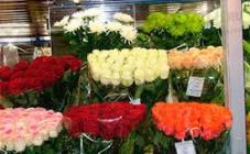 Цветочный Город - фото (8112-51214)