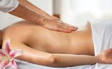 МАК - фото (8626-52579)