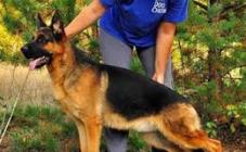 Mansalen - фото (8139-51309)