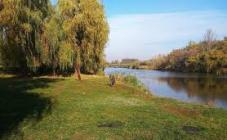 Алексеевский лугопарк - фото (8234-51571)