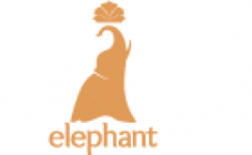 Elephant SPA - фото (8643-52608)