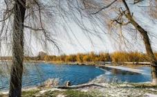 Алексеевский лугопарк - фото (8234-51572)