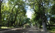 Севастопольський парк - фото (8238-51586)