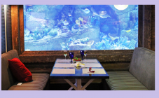 Марлин - рыбный ресторан - фото (844-3705)