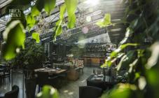 Black Market - фото (3697-47566)