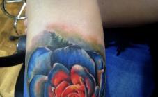 TST - фото (7968-50759)