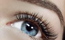 Lash Brow - фото (8028-50968)