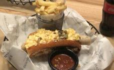 Dogs & Tails - фото (3597-18146)