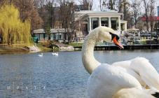 Прага - фото (3608-18236)