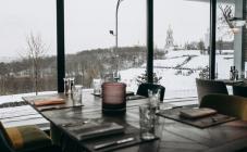 
Guramma Italiana
 - фото (3973-19892)