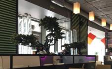 Сушия - фото (4050-20128)