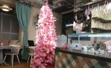 Tiramisu Bar - фото (4159-20783)