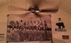 Бар Сплетни - фото (4182-20975)