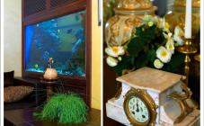 Тургенеф - фото (4392-22137)