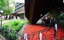 Ресторан Дубки - фото (4677-23844)