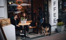 Nevinniy Bar - фото (4946-25152)