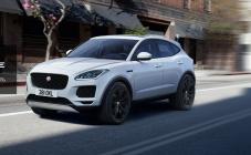 Віннер Імпортс Україна - фото (2176-12285)