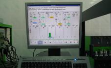 Алекс Дизель - фото (3036-16026)