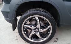 Интершина - фото (3202-16557)