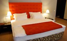 Бонтиак - фото (5494-27930)