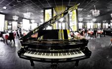 ALFAVITO - фото (5501-28053)